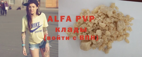 a pvp Новозыбков