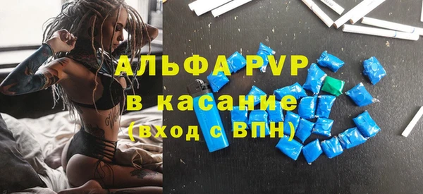 a pvp Новозыбков
