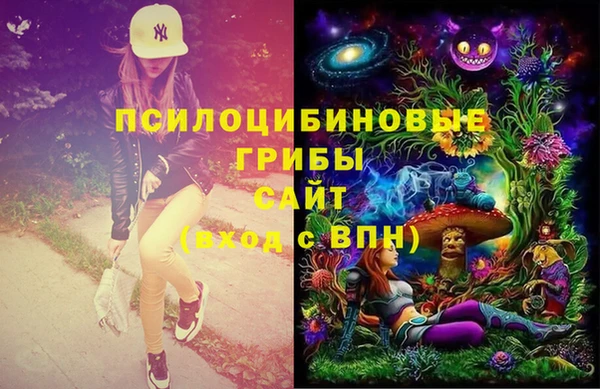 a pvp Новозыбков