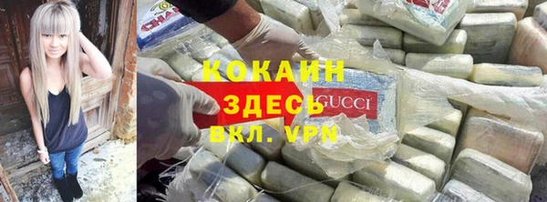 a pvp Новозыбков