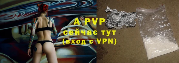a pvp Новозыбков