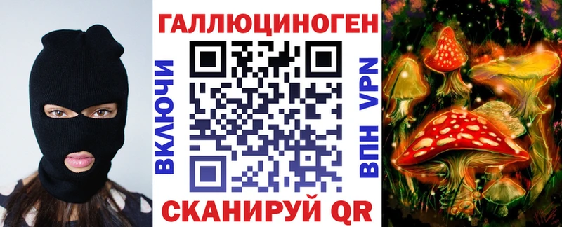 Купить  Черняховск  Псилоцибиновые грибы Cubensis 